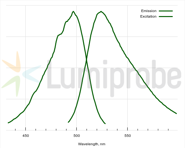 dsGreen for Real-Time PCR, 100×