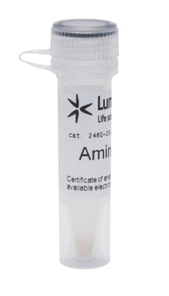 Amino-11-UTP