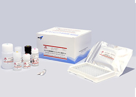 Mouse / Rat Leptin ELISA Kit Cat. M1305