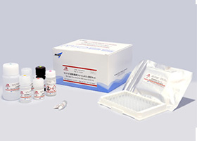 Mouse / Rat Leptin ELISA Kit            Cat. M1305