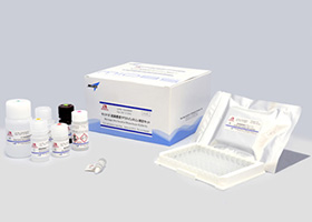 Mouse / Rat Leptin ELISA Kit            Cat. M1305