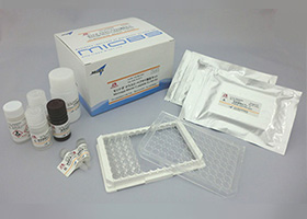 Ultra Sensitive Mouse Insulin ELISA Kit  Cat. M1104