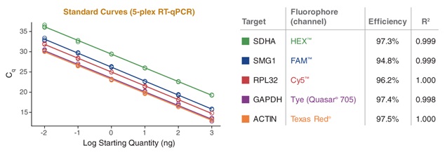 NEB代理 , DNA聚合酶与扩增技术 , qPCR & RT,qPCR