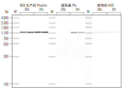 NEB代理 , DNA聚合酶与扩增技术 , 高保真PCR
