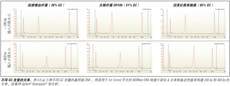 NEB代理 , 用于二代测序的 NEBNext® 试剂 , 适用于Ion Torrent或454测序平台