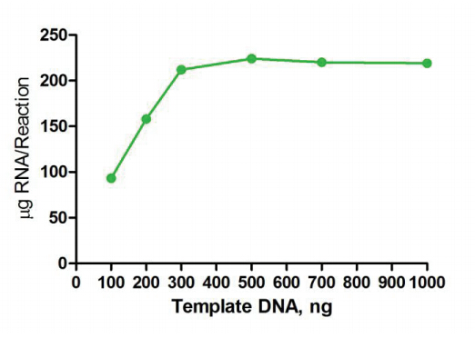 T7 High Yield RNA Transcription Kit