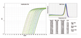 ChamQ SYBR qPCR Master Mix(Without ROX)
