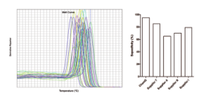 ChamQ SYBR qPCR Master Mix(Without ROX)