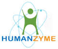 HumanZyme